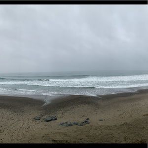 Meet your Posher, Rosa